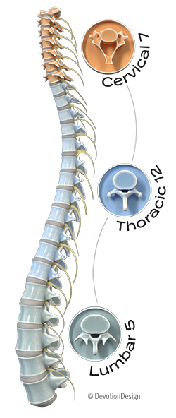 Chiro